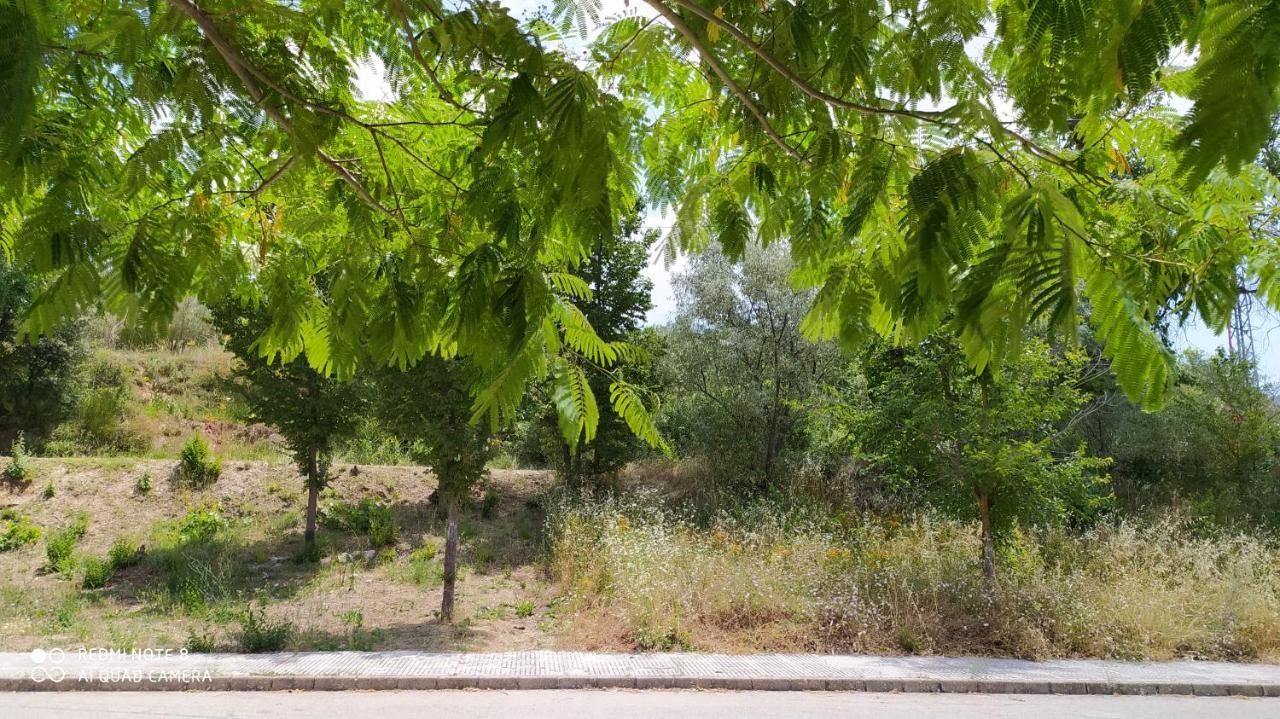 Casa Rural El Cerrete 2 Riópar Exteriér fotografie